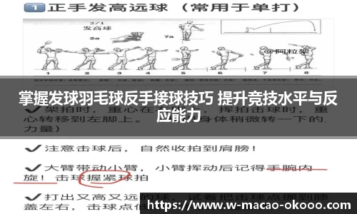 掌握发球羽毛球反手接球技巧 提升竞技水平与反应能力